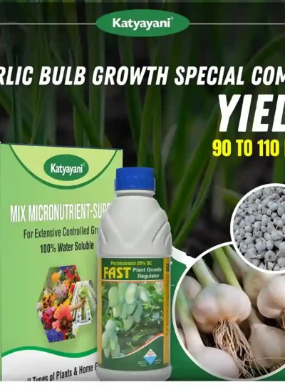Katyayani Garlic Bulb Special Combo (90–110 Days)