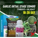 Katyayani Garlic Initial Stage Combo (10-20 Days) for Root Growth
