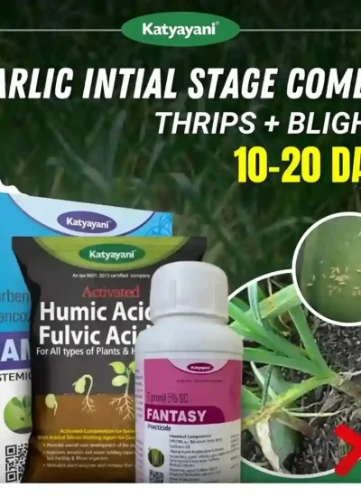 Katyayani Garlic Initial Stage Combo (10-20 Days) for Root Growth