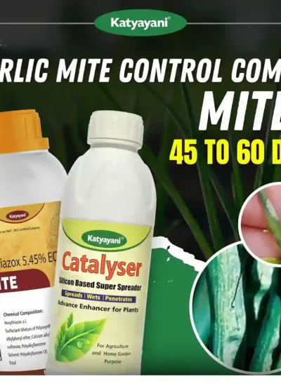 Katyayani Garlic Mite Control Combo (45-60 Days) - Mite Treatment