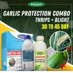 Katyayani Garlic Protection Combo (30-45 Days) - pest and disease management