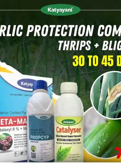 Katyayani Garlic Protection Combo (30-45 Days) - pest and disease management