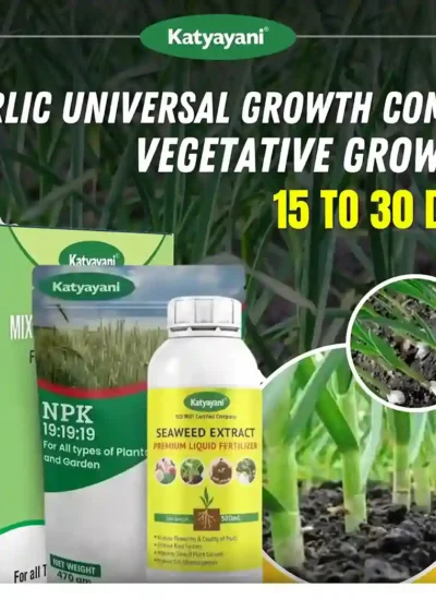 Katyayani Garlic Universal Growth Combo (15-30 Days) (NPK 19-19-19 (1 KG) + Mix Micronutrient (100 GM) + Seaweed Extract (250 ML)