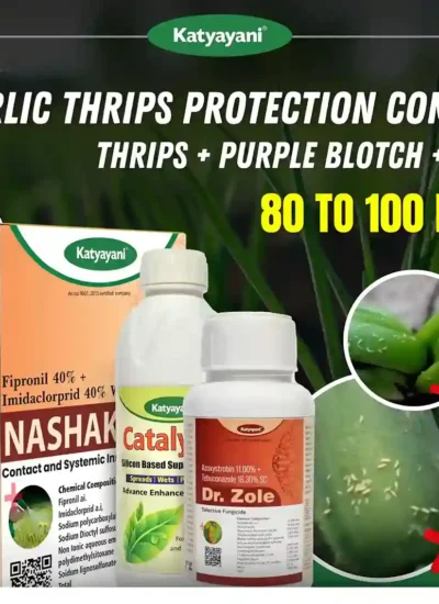 Katyayani Garlic thrips Protection combo (80-100 Days) (Nashak 40 GM + Dr. Zole 250 ML + Catalyser 100 ML)