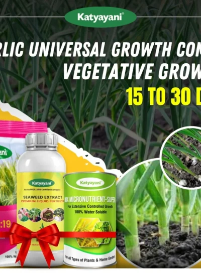 Katyayani Garlic Universal Growth Combo (15-30 Days) - Nutrient solution for garlic seedlings