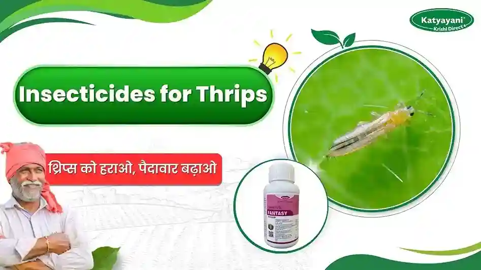 Best insecticide for thrips