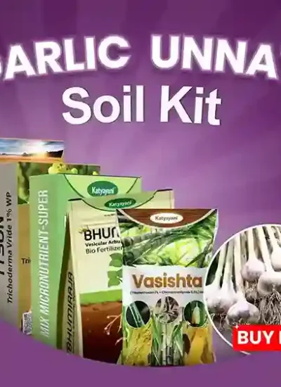 Katyayani Garlic Unnati Soil Kit