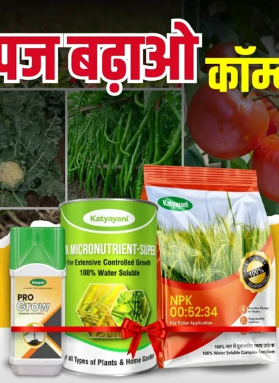 KATYAYANI UPAJ BDAO COMBO