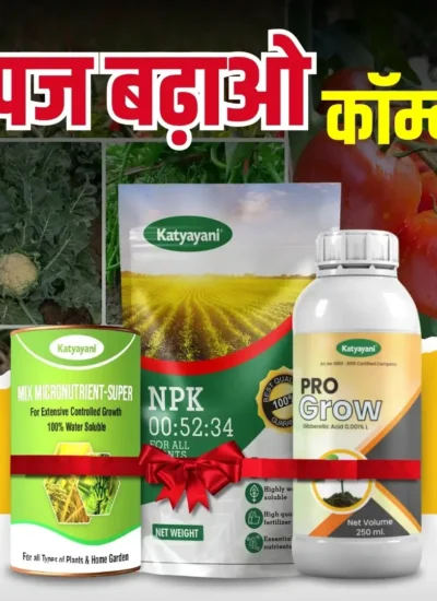 Katyayani Upaj Badao Combo (NPK 00:52:34 (1 KG) + Mix Micronutrient (100 GM) + Pro Grow (250 ML)