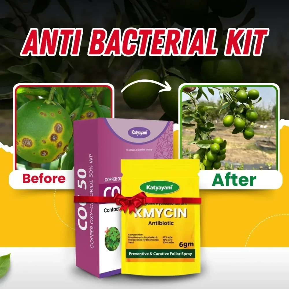 Katyayani Anti Bacterial Kit (KMYCIN (6 GM x 2) + COC 50 (450 GM)