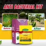 Katyayani Anti Bacterial Kit (KMYCIN (6 GM x 2) + COC 50 (450 GM)