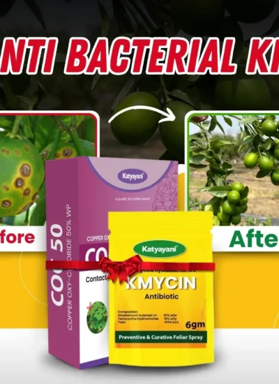 Katyayani Anti Bacterial Kit (KMYCIN (6 GM x 2) + COC 50 (450 GM)
