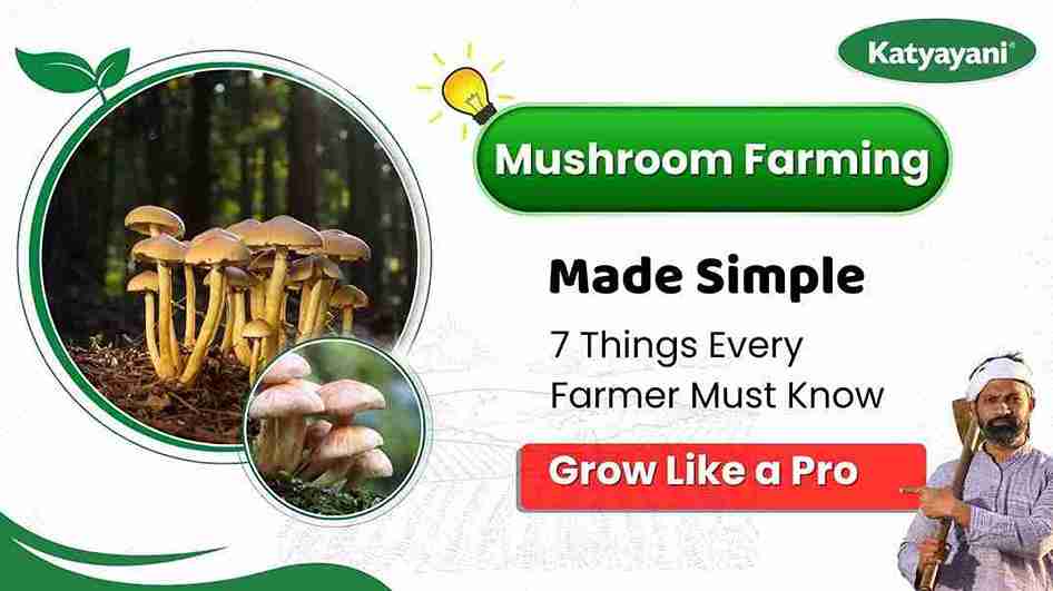 Mushroom Farming