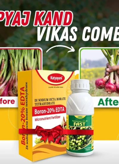 Katyayani Onion - Pyaj Kand Vikas Combo | (Fast Paclobutrazol (23%) SC 100 ml +  Boron 20% EDTA 500 gm