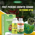 Katyayani Post-Picking Growth Combo for Chilli | 1st picking after (Nutricious 250 ML + Seaweed Extract 250 ML + Mix Micronutrient 100 GM)