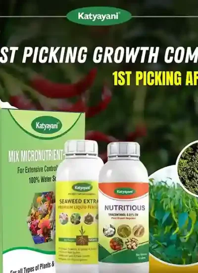 Katyayani Post-Picking Growth Combo for Chilli | 1st picking after (Nutricious 250 ML + Seaweed Extract 250 ML + Mix Micronutrient 100 GM)