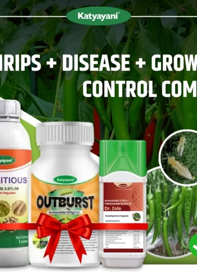Katyayani Thrips + Disease + Growth Control Combo for Chilli