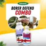 Katyayani Borer Defend combo (Ema 19 (250 ML) + K indox (100 ML)