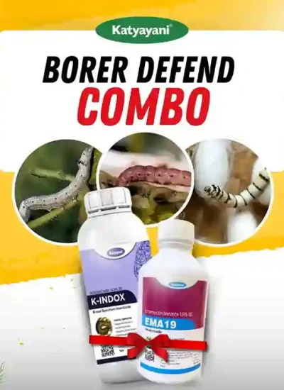 Katyayani Borer Defend combo (Ema 19 (250 ML) + K indox (100 ML)