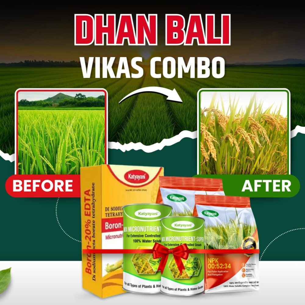 Katyayani Dhan bali vikas combo for 2 Acre (NPK 00 52 34 (1 kg X 2), Boron (400 gm X 1), mix micro (100 gm x 2)