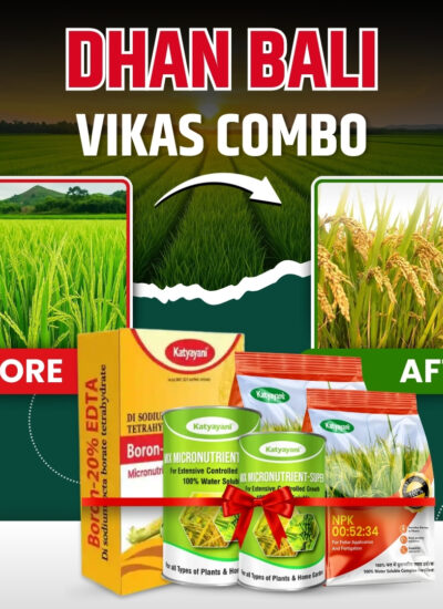 Katyayani Dhan bali vikas combo for 2 Acre (NPK 00 52 34 (1 kg X 2), Boron (400 gm X 1), mix micro (100 gm x 2)