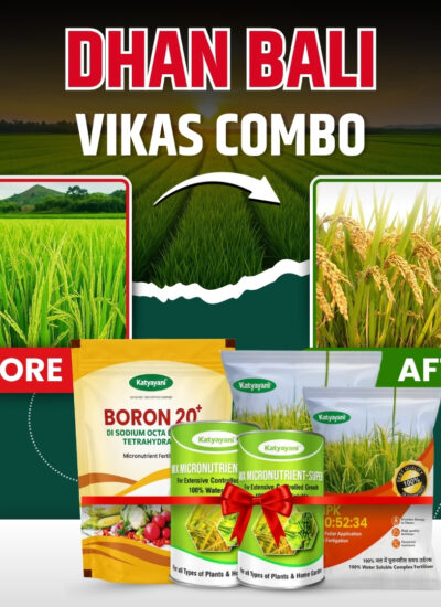 Katyayani Dhan bali vikas combo for 2 Acre (NPK 00 52 34 (1 kg X 2), Boron (500 gm X 1), mix micro (100 gm x 2)