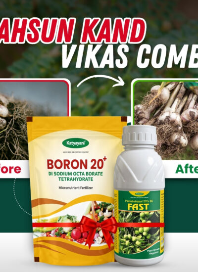 Katyayani Garlic – Lahsun Kand Vikas Combo (Fast 100 ML + Boron 20% EDTA 500 GM)