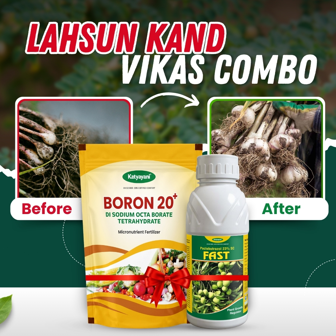 Katyayani Garlic – Lahsun Kand Vikas Combo (Fast 100 ML + Boron 20% EDTA 500 GM)
