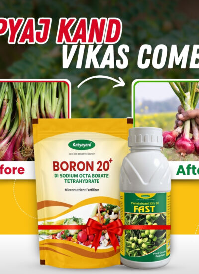 Katyayani Onion - Pyaj Kand Vikas Combo | (Fast Paclobutrazol (23%) SC 100 ml +  Boron 20% EDTA 500 gm