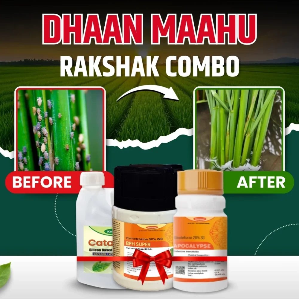Dhaan maahu rakshak combo