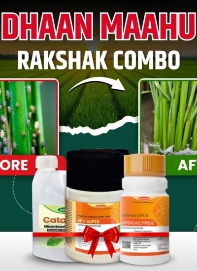 Dhaan maahu rakshak combo