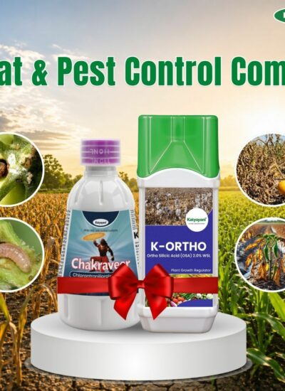 Katyayani Heat & Pest Control Combo