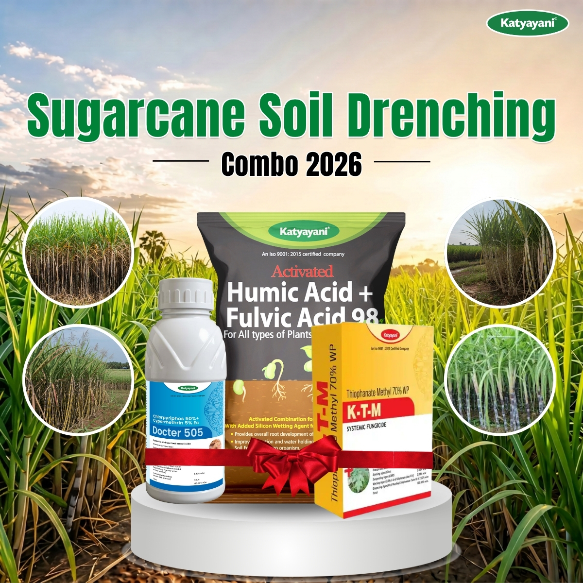 Katyayani Sugarcane Soil Drenching Combo 2026